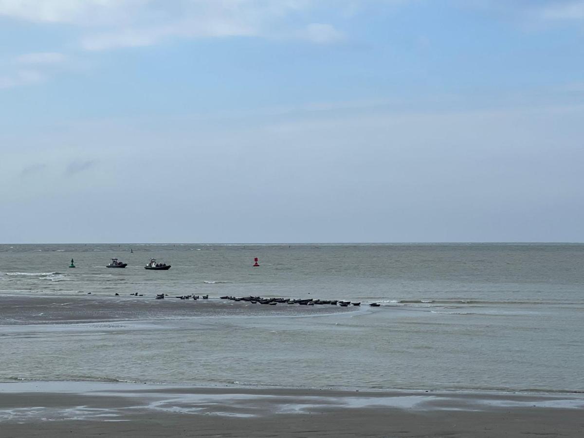 Plage A 50M Appartement Reves Bleus Villa Les Bains De Mers المظهر الخارجي الصورة